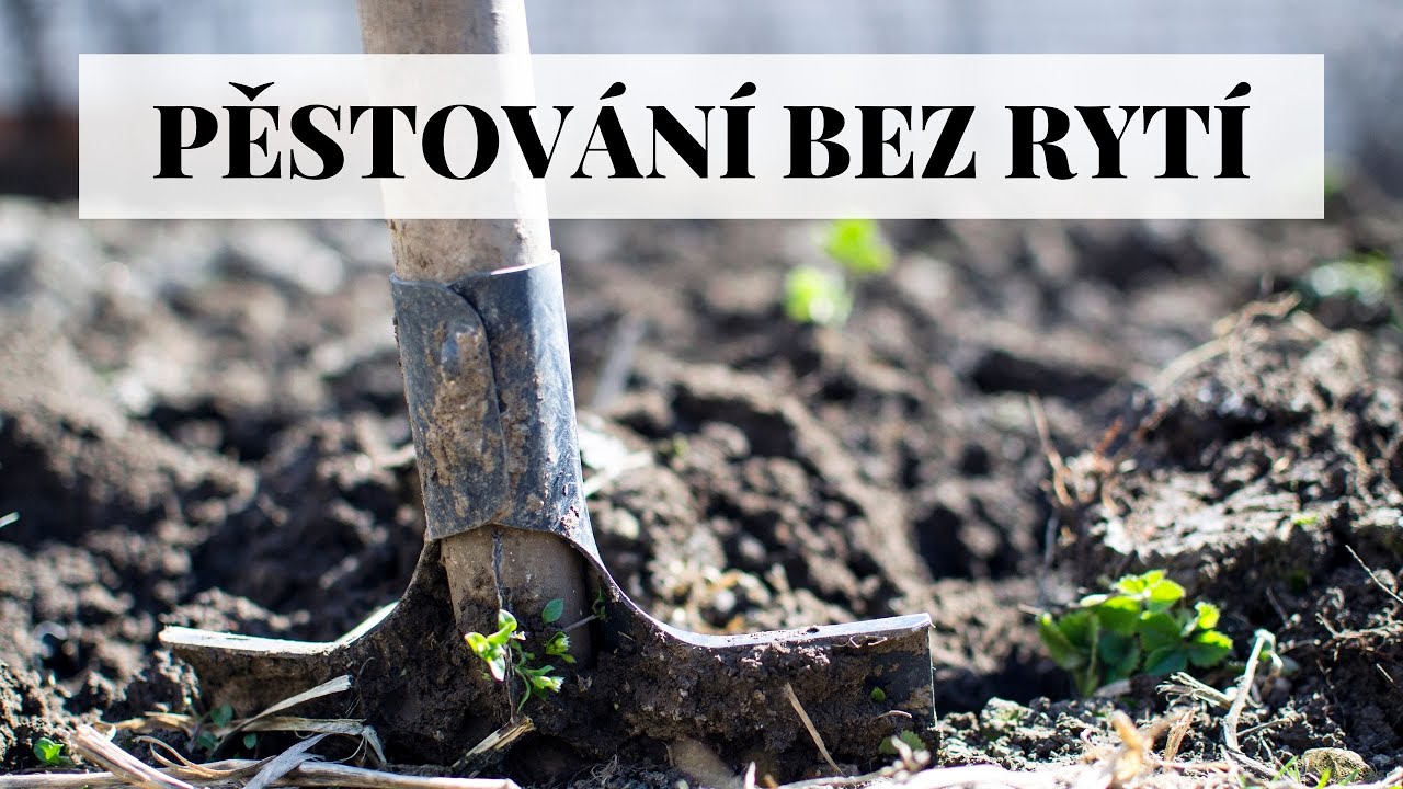 Pěstov&aacute;n&iacute; bez ryt&iacute; - tvorba &uacute;rodn&eacute;ho z&aacute;honu