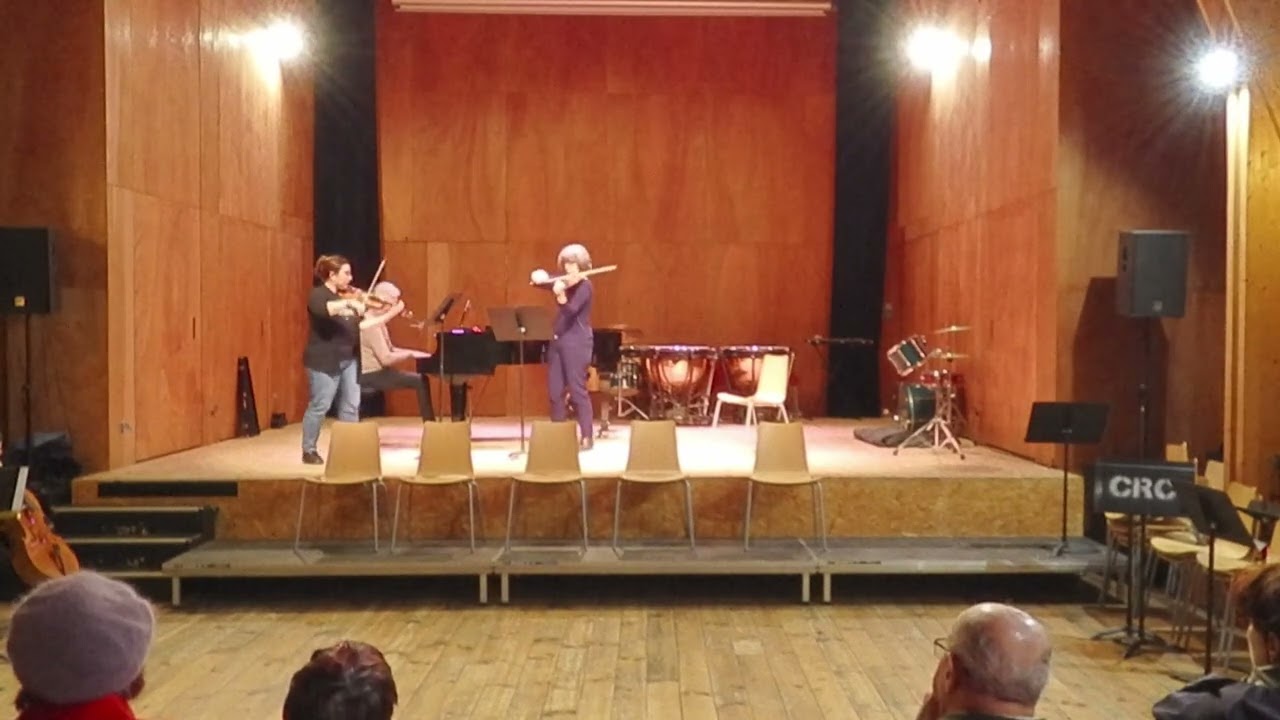 Nuit des conservatoires 2025 - Classe de Violon et Alto