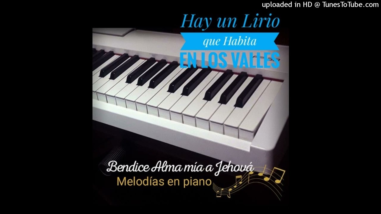 Hay un Lirio que Habita en Los valles