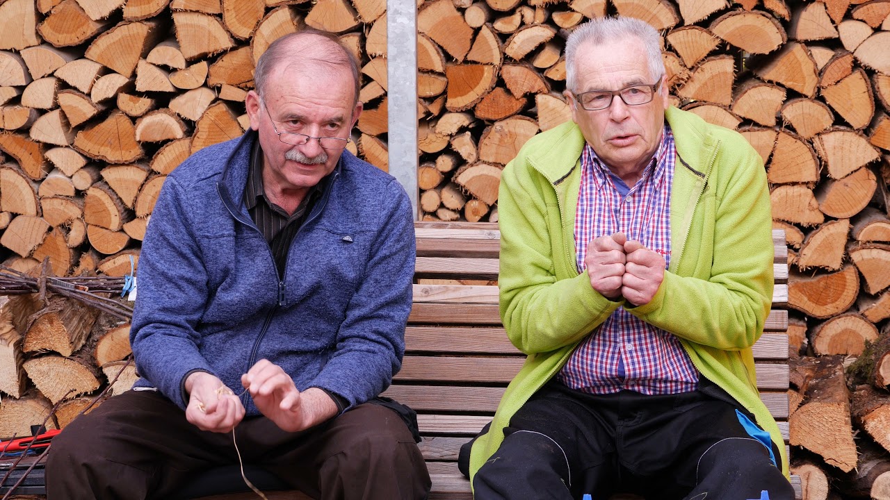 Veredelung von Obstbäumen