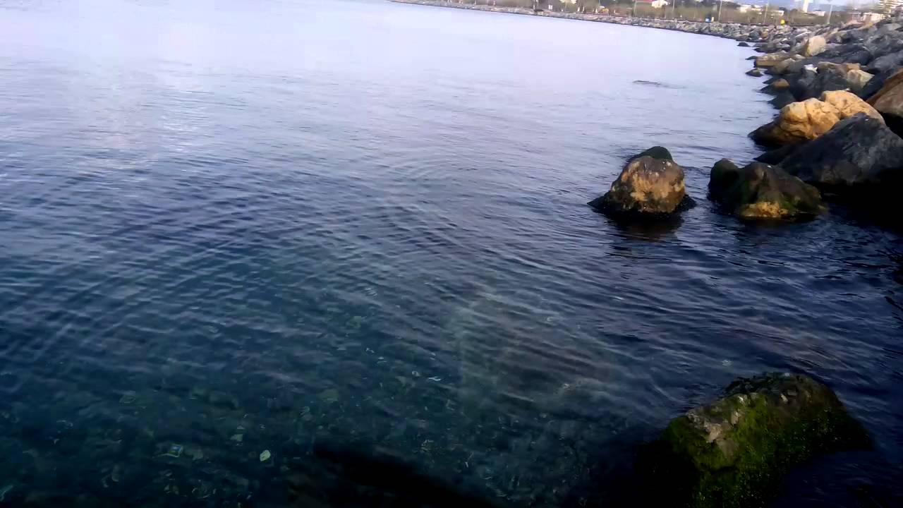 deniz pendik  -  temiz pendik -  &ccedil;ok temiz deniz kıyısı pendik environmental cleaning