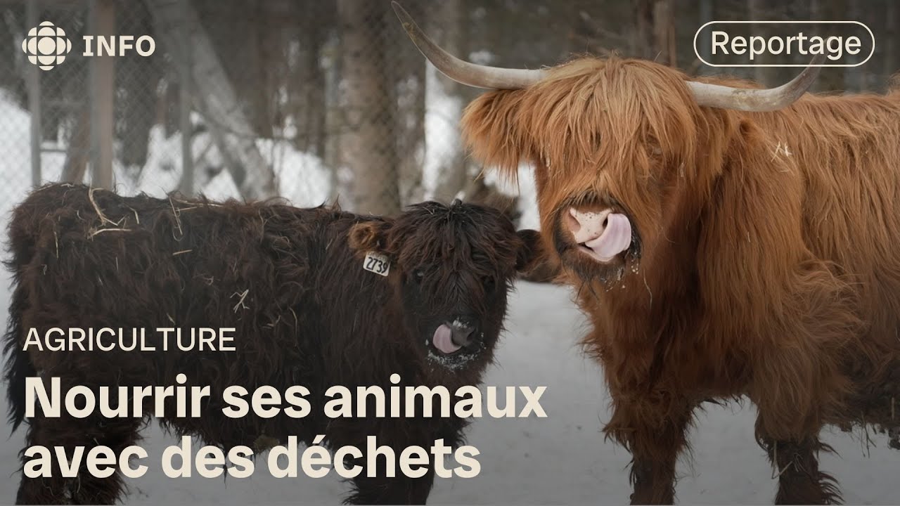 Économie circulaire : boucler la boucle à la ferme | La semaine verte