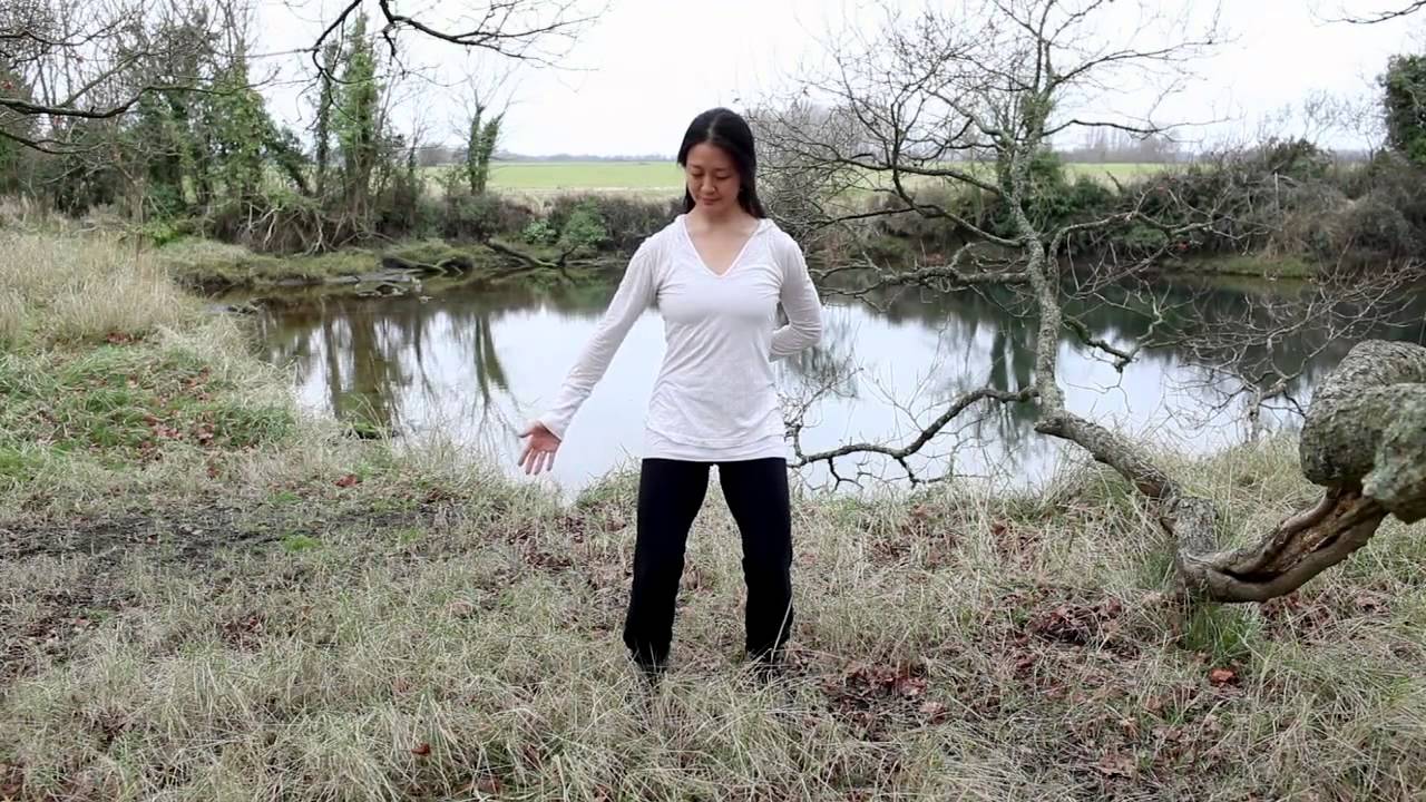 Bone Marrow Cleanse Qigong Practice