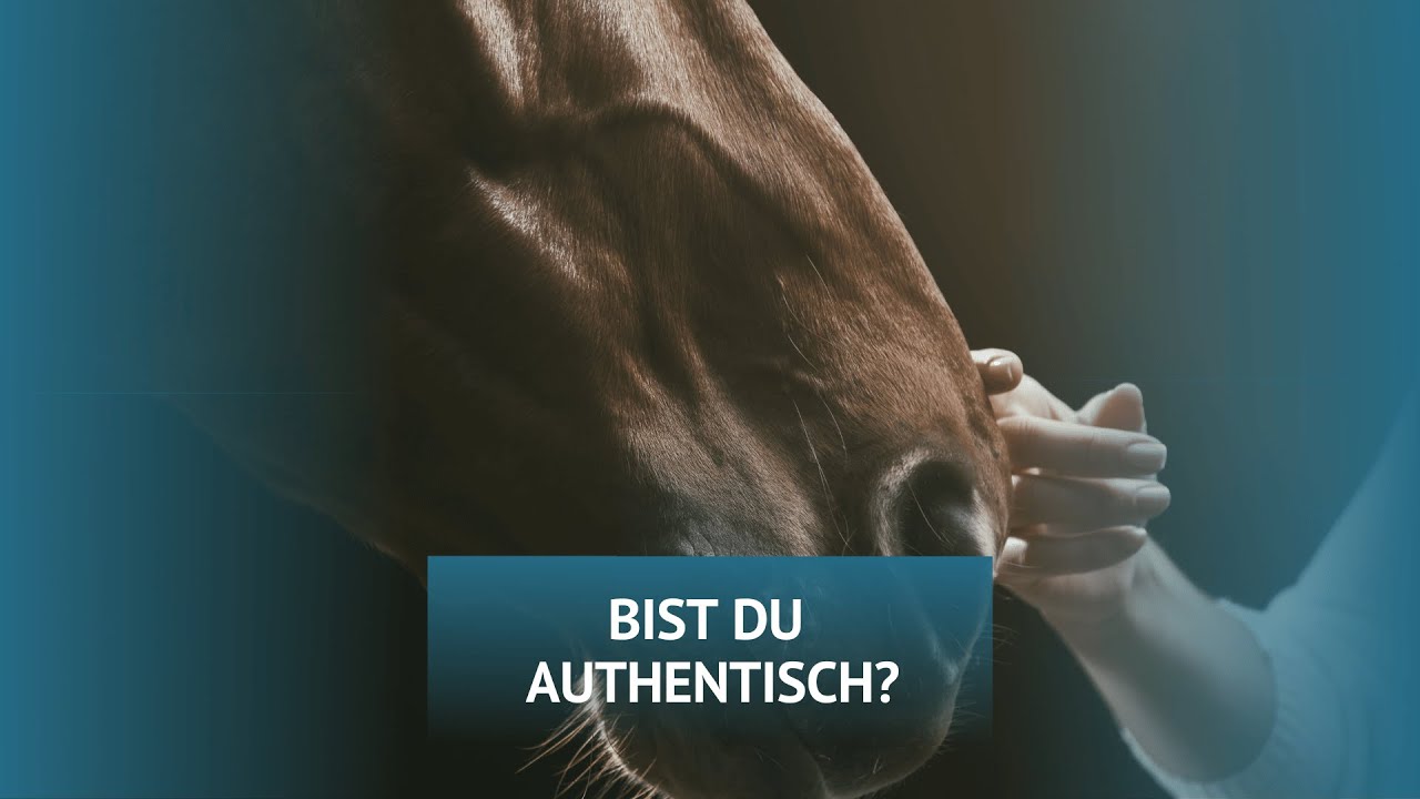 Pferde folgen nur authentischen Personen
