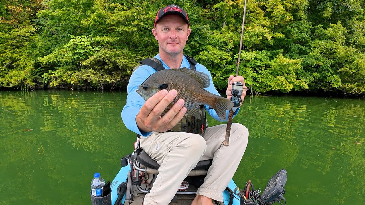 This Bait Always Produces LOADS of Fish | Kayak Ultralight Fishing the Clinch River