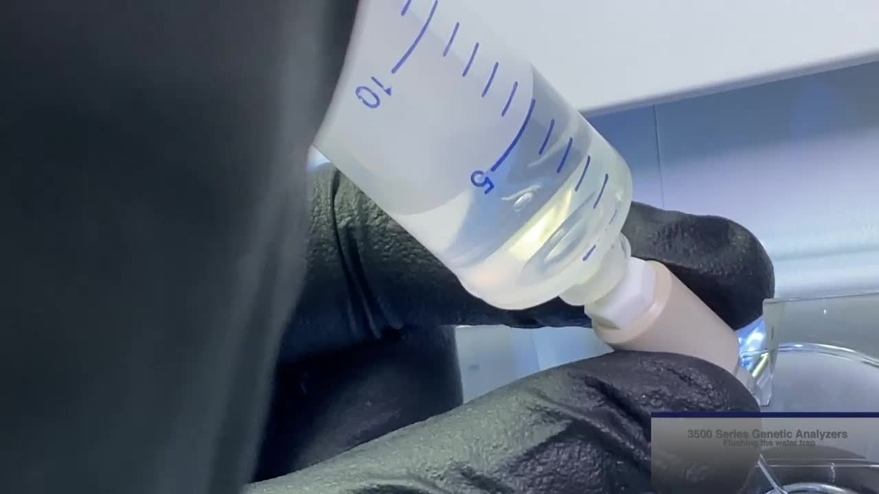 Flushing the water trap