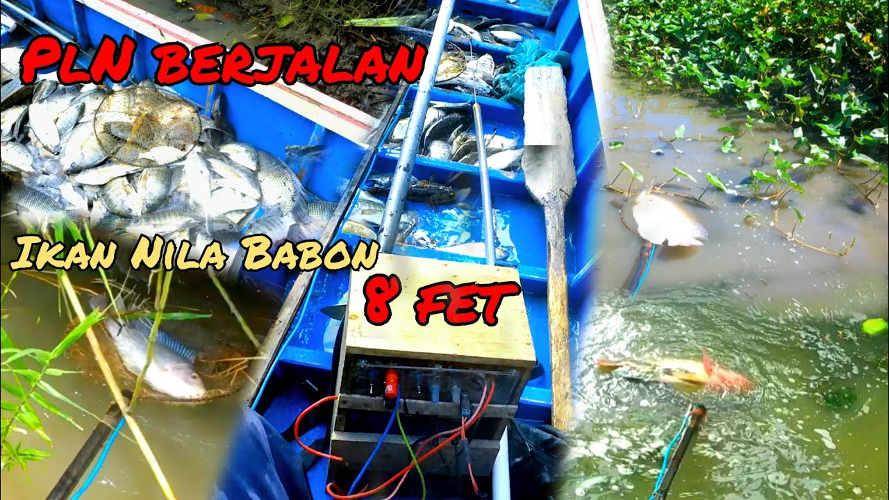 Pdc 8 fet dengan batre lifepo4