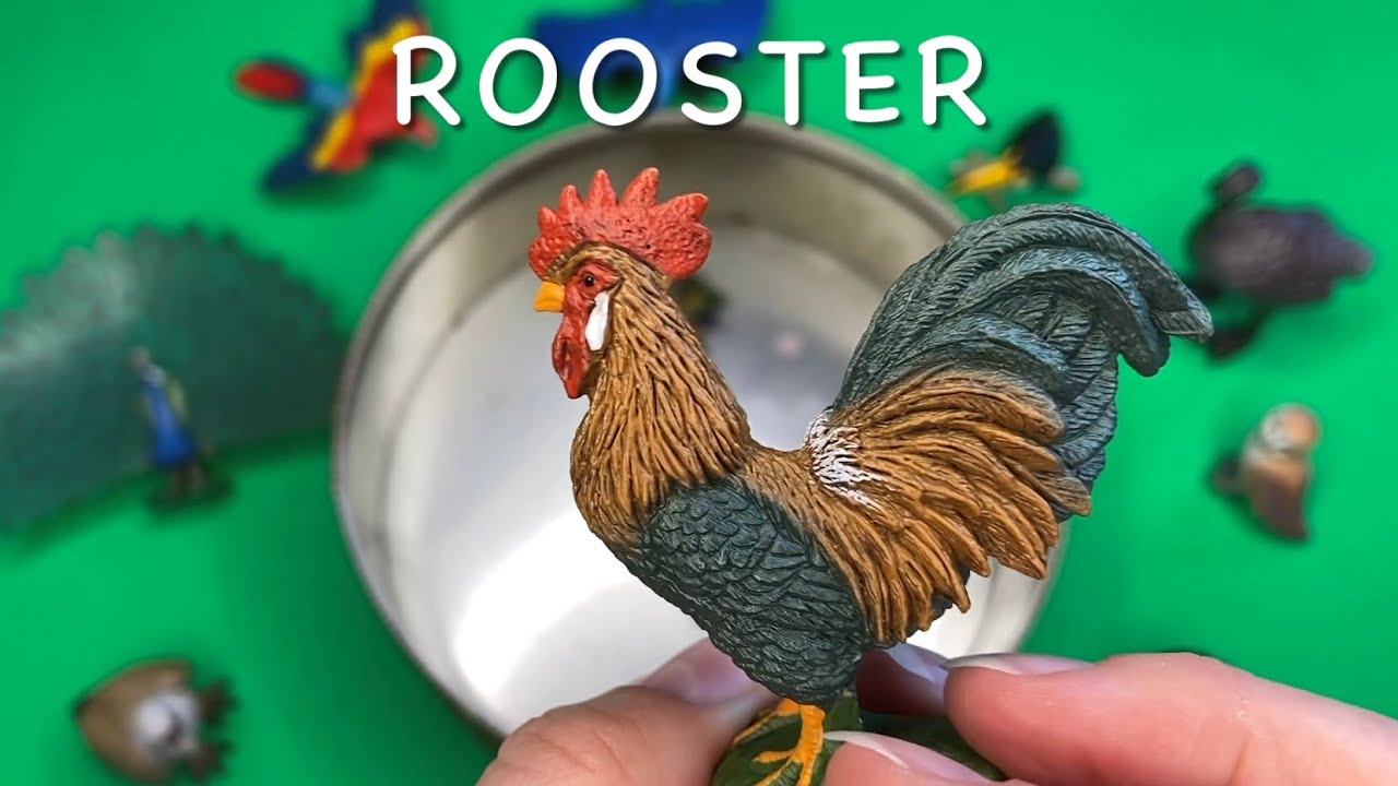 Bird Toy Figurines - Learning Animal Names with Feathered Friends - Educational and Fun for Kids