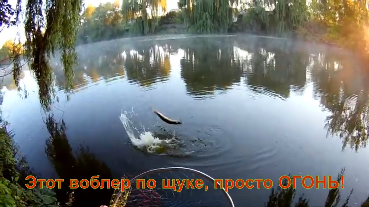 Третья рыбалка и копия Fishycat Junglecat 140 от BEARKING опять приносит кракадушку! Я в ШОКЕ.