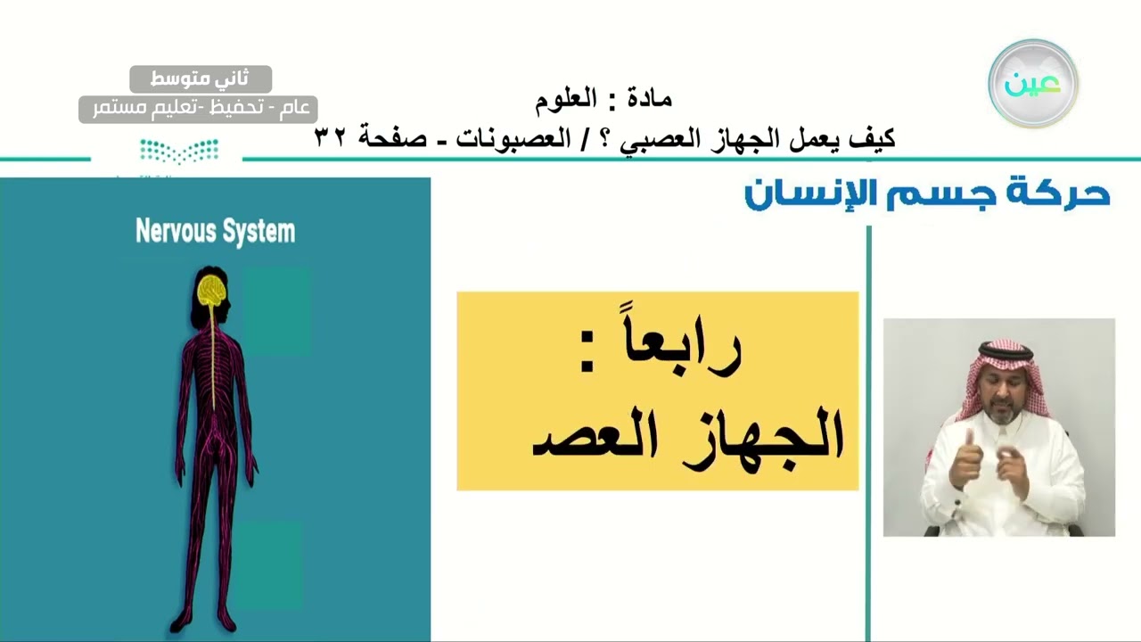 كيف يعمل الجهاز العصبي ؟ / العصبونات - العلوم - ثاني متوسط