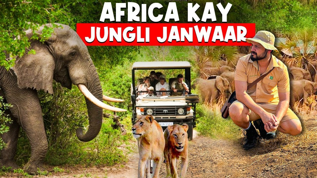 Africa Kay Jungli Janwaar | Adventure Wild Safari in KENYA 🐘🦒