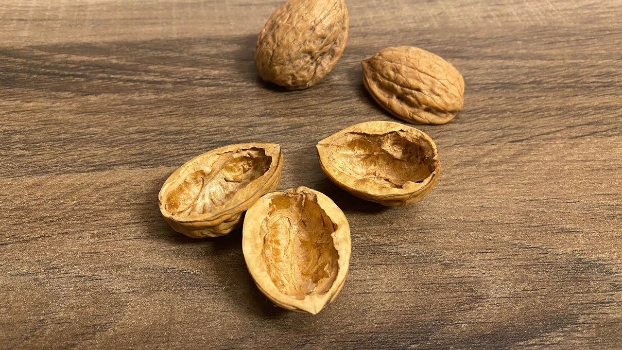 DIY Walnuss öffnen ohne das die Schale bricht #diy #basteln #walnut #walnuss #schale #filz #trick 
