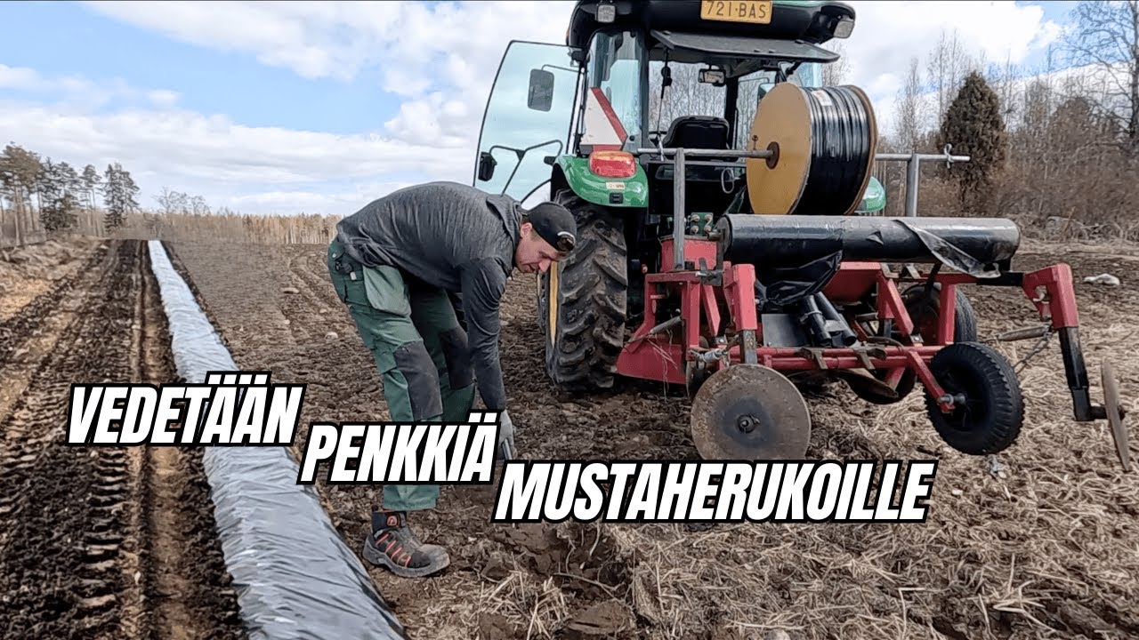 Tehdään penkkiä mustaherukan pistokkaille - Huko-penkinvetokone ja John Deere