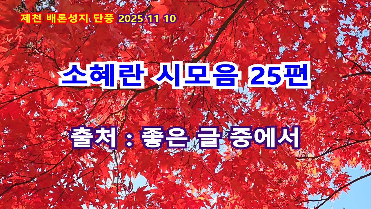 소혜란 시모음 25편 UHD 4K