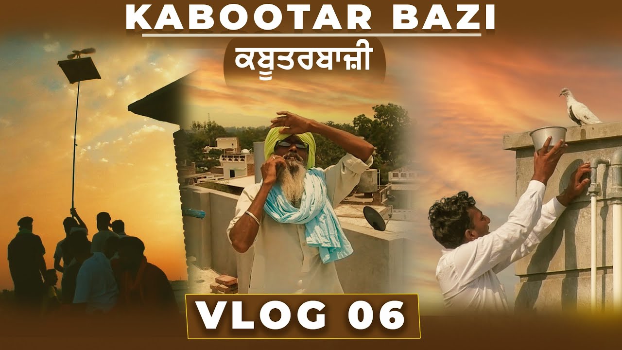 Kabootarbazi | Vlog 6 | ਕਬੂਤਰਬਾਜ਼ੀ | Pigeon Tournament | Daraj (Barnala) | Times of 365