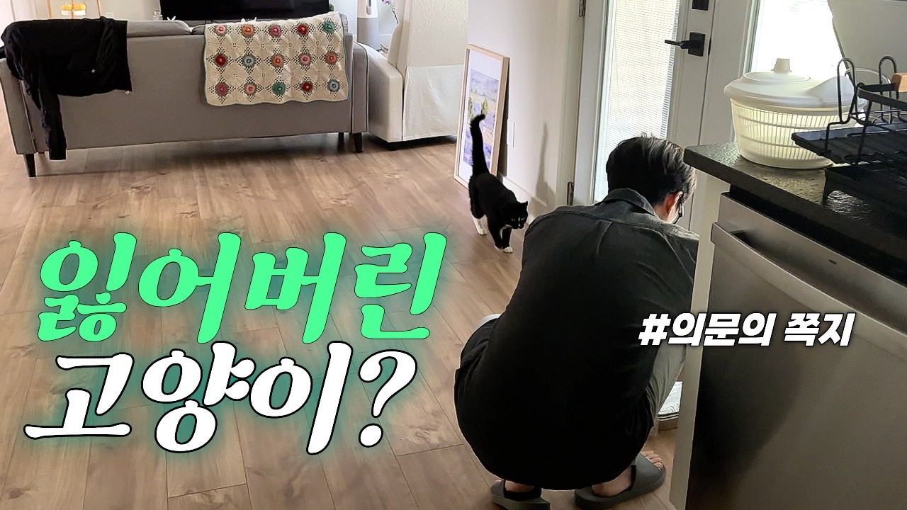 결국 집에 들였습니다.. 미국일상 🐈