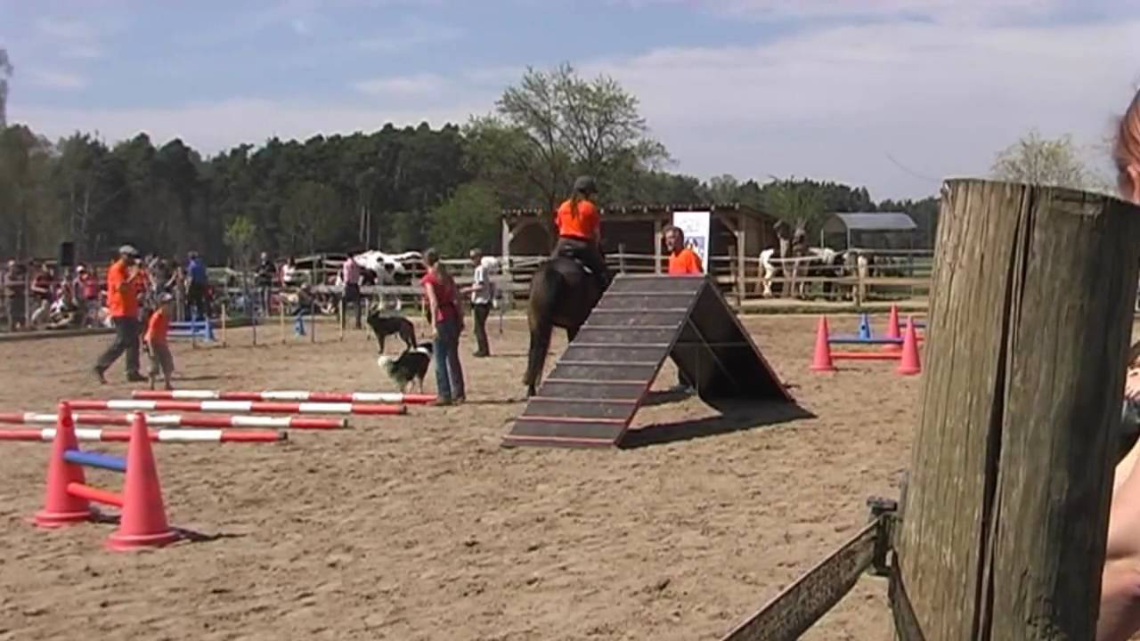 Agility mit Pferd und Hund in Mauk