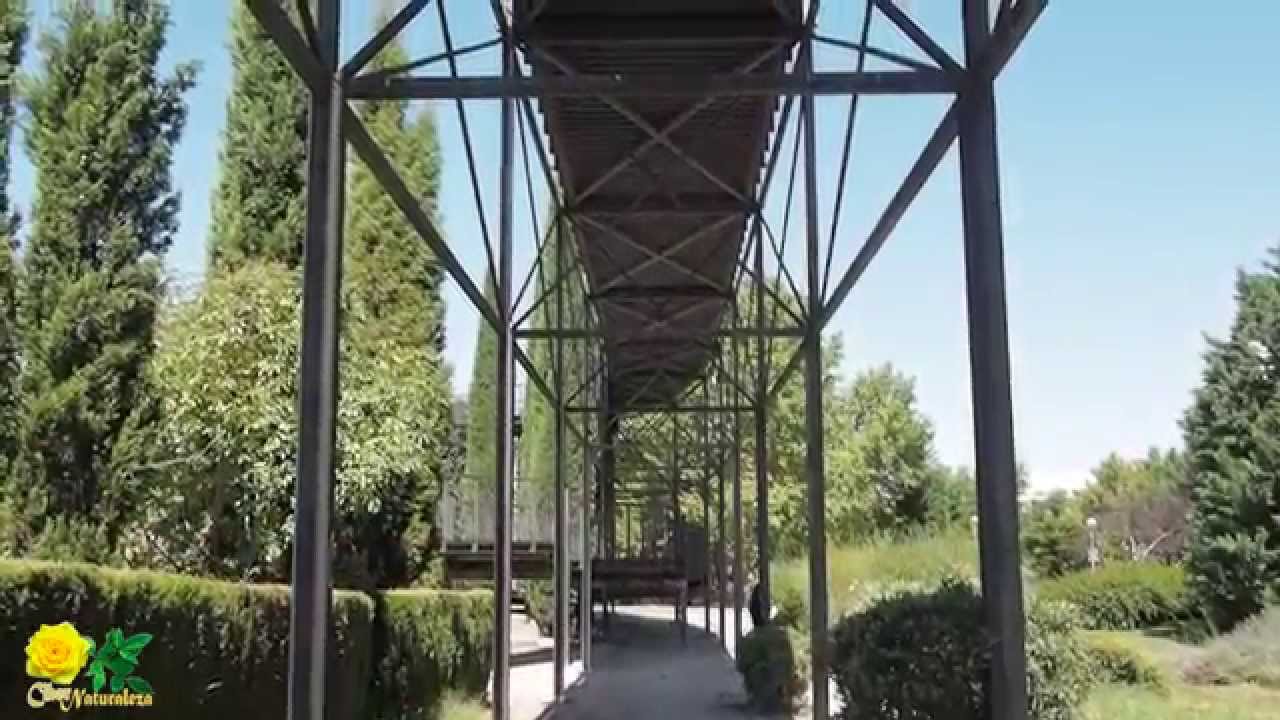 Parque Tierno Galván