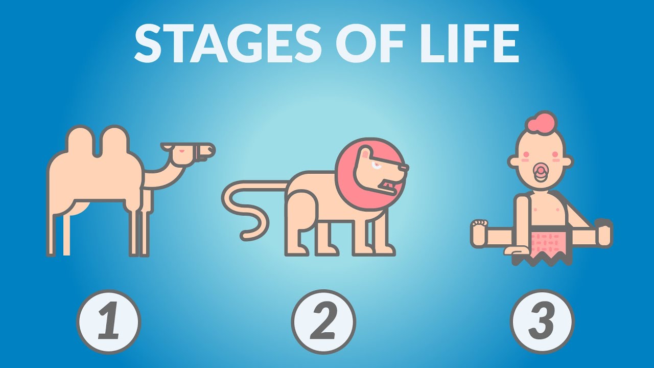 Nietzsche — The 3 Stages of Life