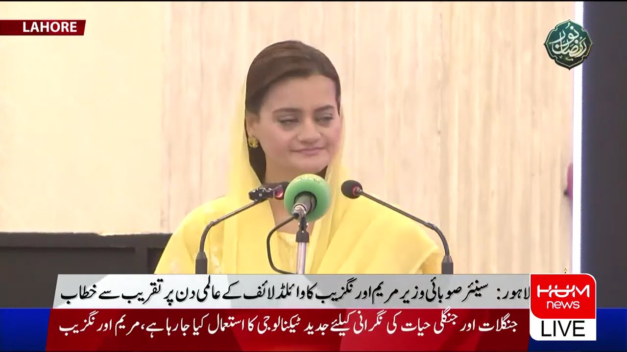 🔴 𝗟𝗶𝘃𝗲: PMLN Maryam Aurangzeb Addressing the Conference | Pakistan News