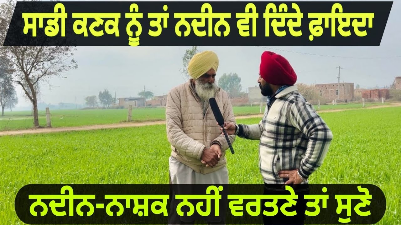 ਸਾਡੀ ਕਣਕ ਨੂੰ ਤਾਂ ਨਦੀਨ ਵੀ ਦਿੰਦੇ ਫਾਇਦਾ | Punjab Aala Podcast