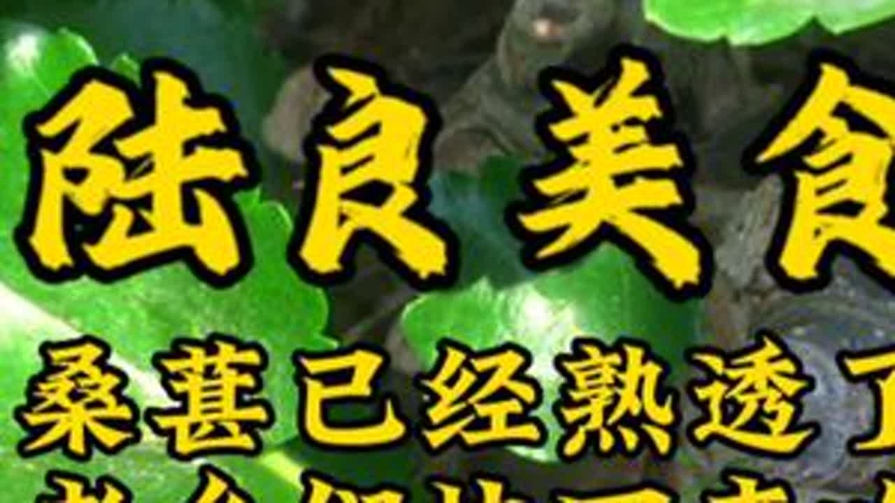 桑葚熟啦，各位漂泊在外的陆良老乡们快回来吃桑葚喽！ #陆良 #宣传家乡旅游文化 #桑葚熟了 #抖音助农