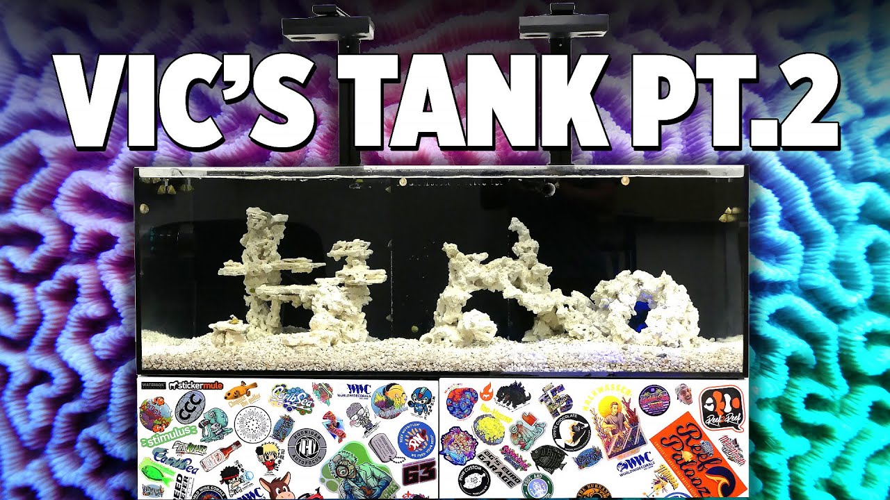 DIY Auto Top Off & Aquascape | Vic's Office Reef Tank EP2