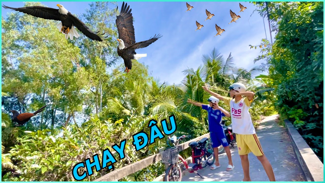 Truy Tìm Đại Bàng Khủng Bằng Ná Cao Su 120k Bất Ngờ Gặp Nạn Giữa Đường |ATK