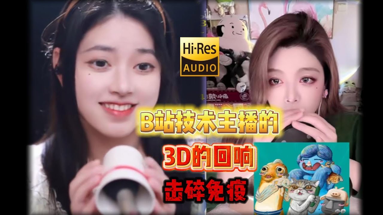 Chinese blogger  no talk ASMR     A different feeling  277 B站技术主播的回响 “old”助眠家的从容 击碎免疫（小黄瓜、巫春天）