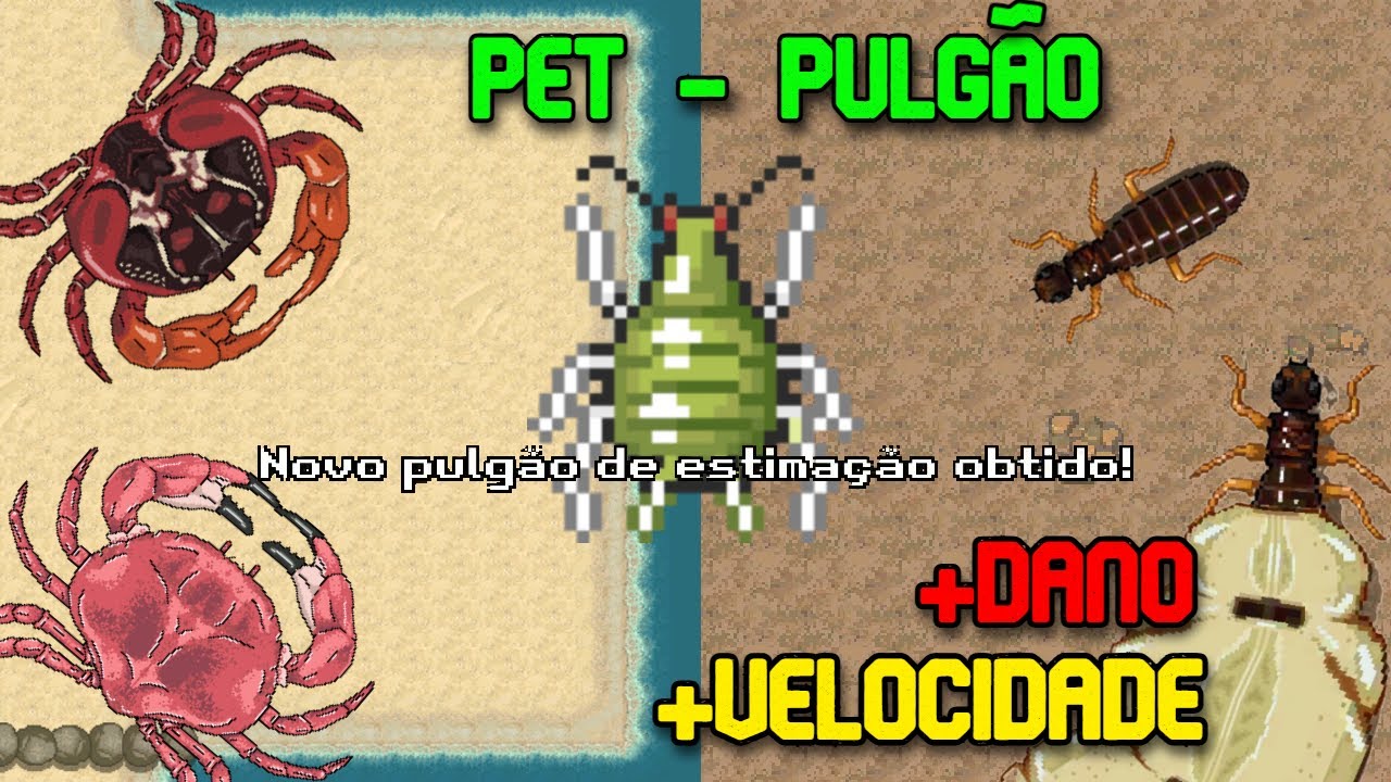 Como Obter os Pulgões no Pocket Ants - Pet aphid - Explicando sobre eles