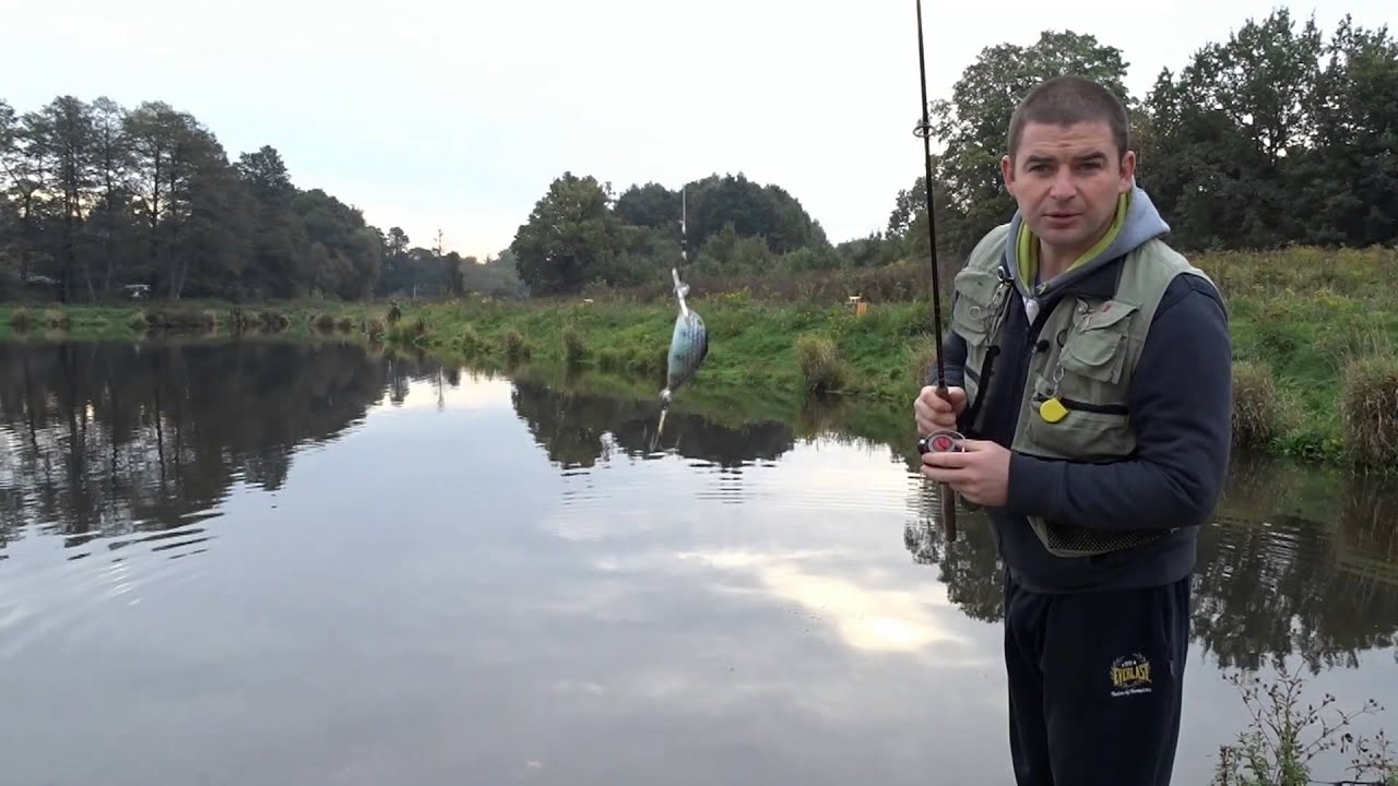 Mfishing Spiningowa wyprawa na staw Pabiankę i Żabieniec ul.Liściasta Łódź okoń