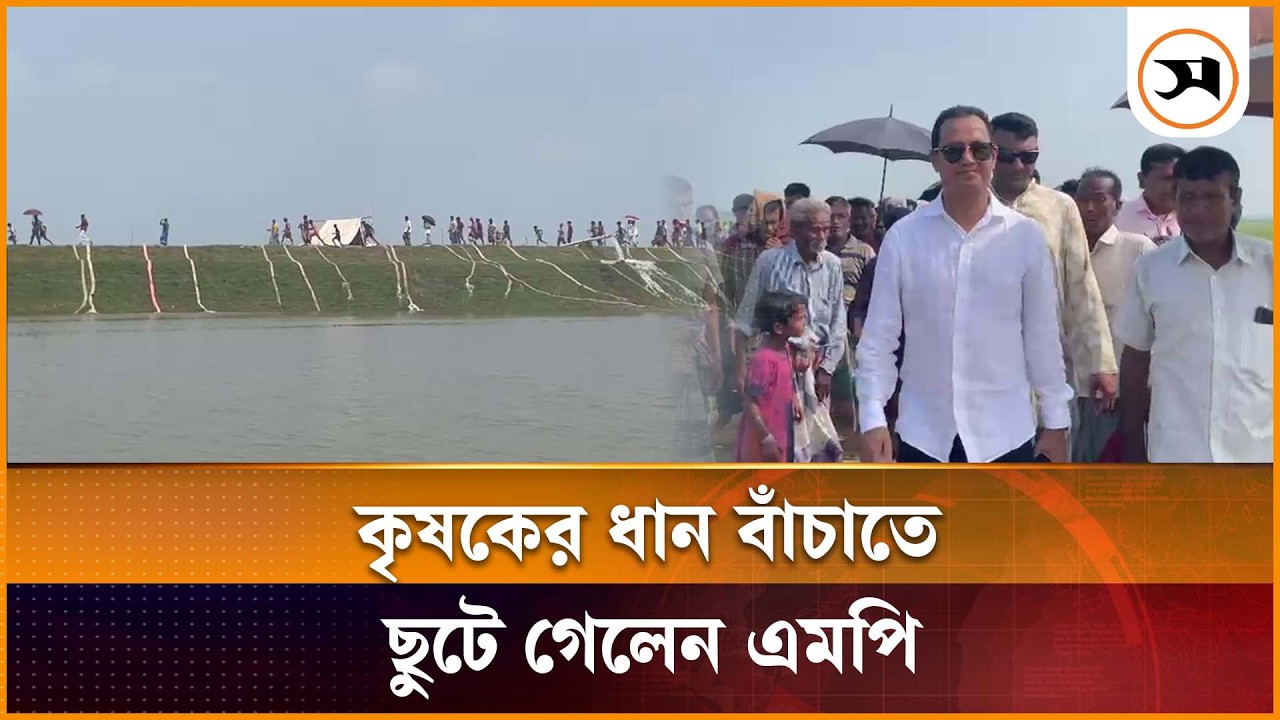 সুনামগঞ্জে জলাবদ্ধতায় ডুবছে ধান, কৃষকের সহায়তায় স্থানীয় এমপি | sunamganj| Samakal News