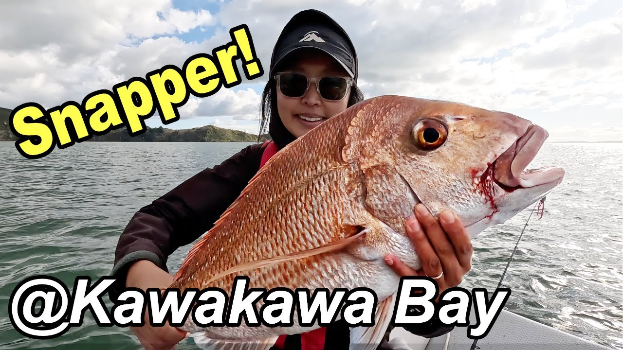 Snapper Fishing at Kawakawa Bay: Tips, Lures, and Techniques