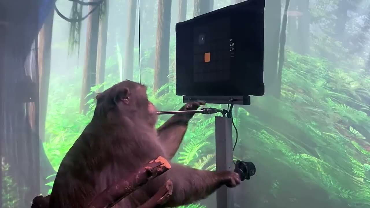 Monkey MindPong.