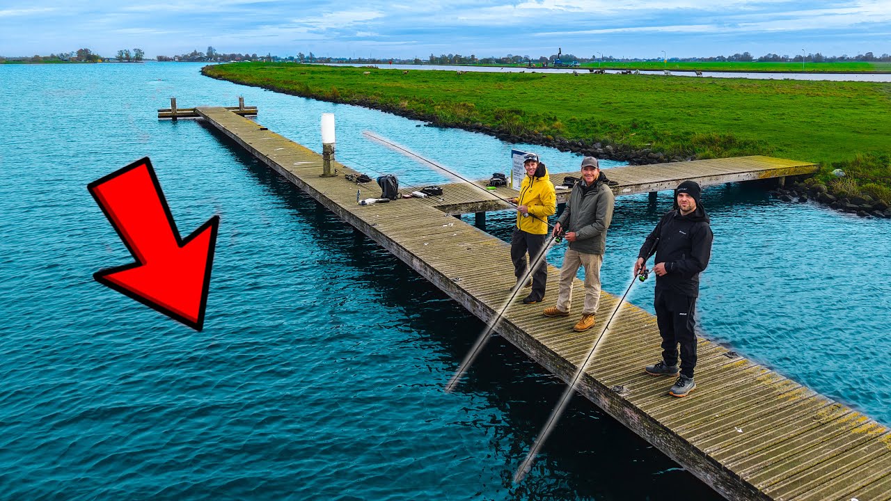 WELKE GROTE VISSEN KUNNEN WIJ VANGEN VANAF DEZE STEIGER? 