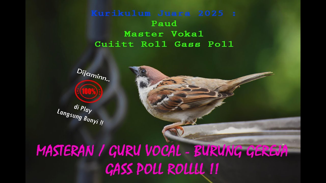 MASTERAN / GURU VOCAL GEREJA - CUiiTt GassPolll | Kurikulum Juara 2025