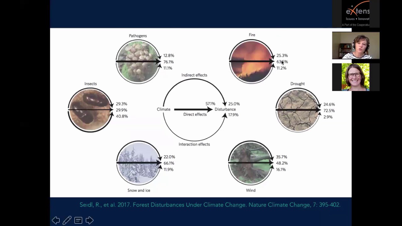 Bark Beetle Outbreaks in Western North America: Causes, Control and Consequences