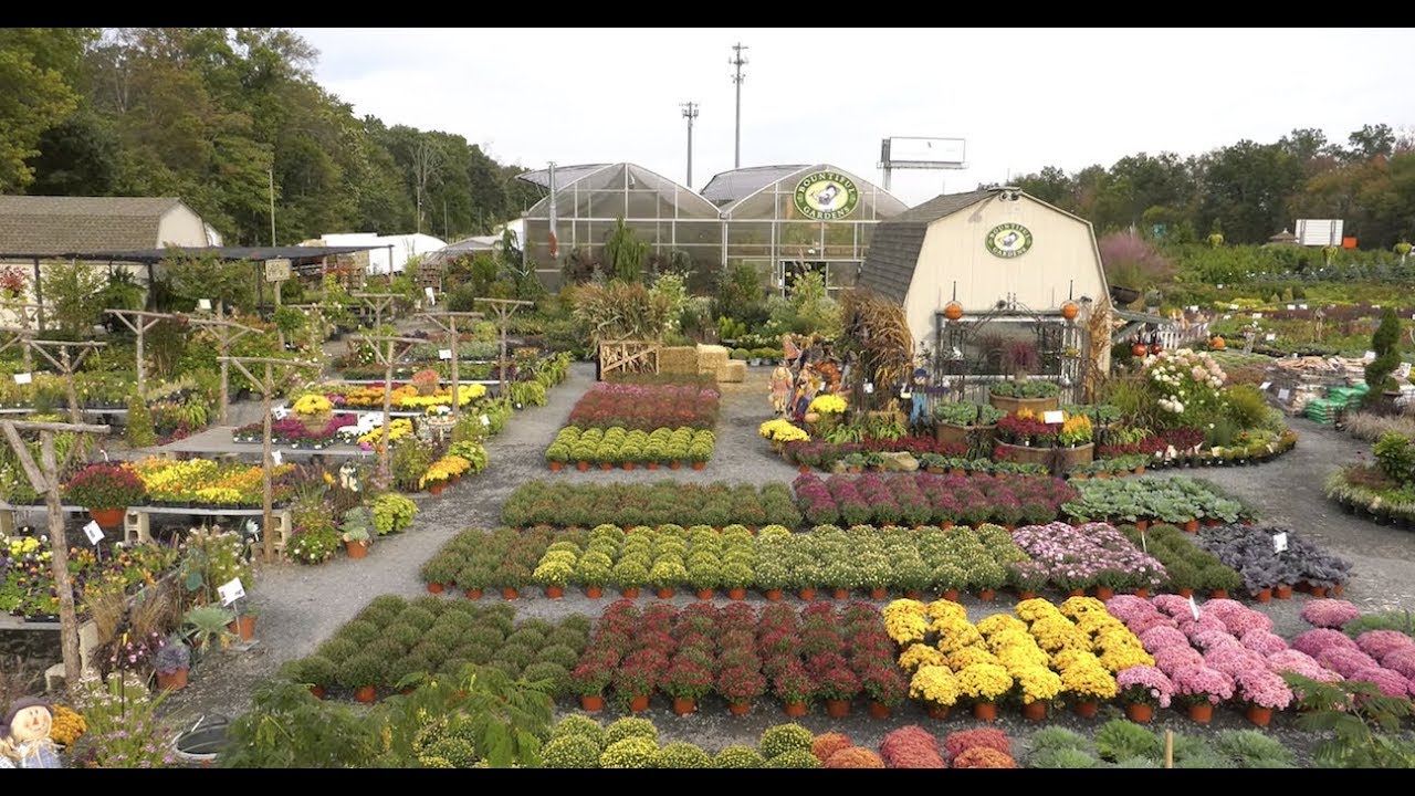 VIRTUAL TOUR of Spectacular Garden Center and Greenhouse: Bountiful Gardens in Ewing!