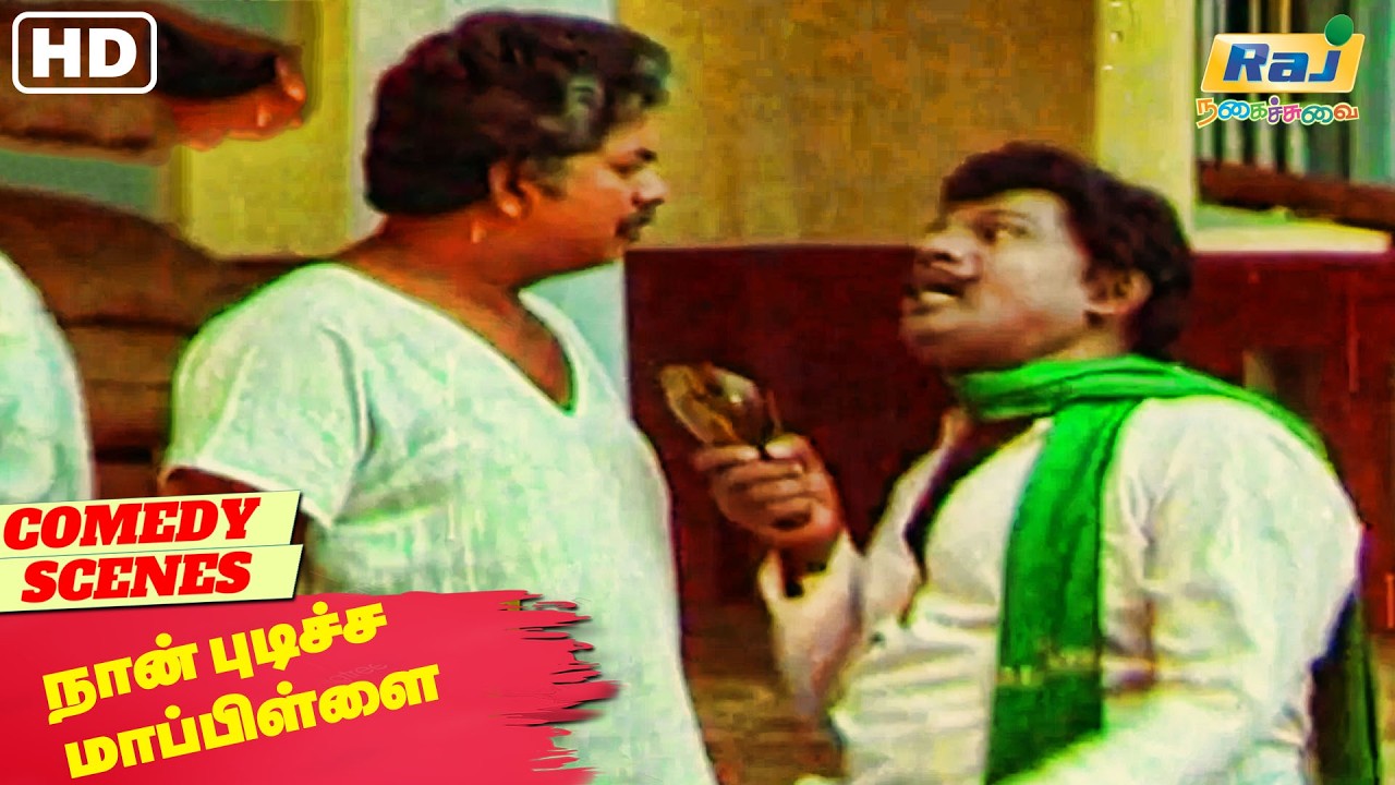 டேய் டேய் இருடா நான் போயிடுறேன். | Naan Pudicha Mappillai Comedy | Nizhalgal Ravi | Raj Nagaichuvai