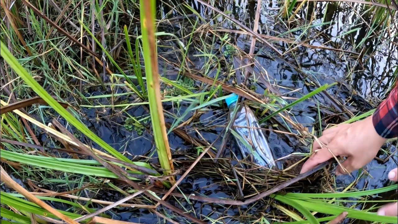 ใส่เบ็ดขวดน้ำแบบนี้มีลุ้นแน่นอน