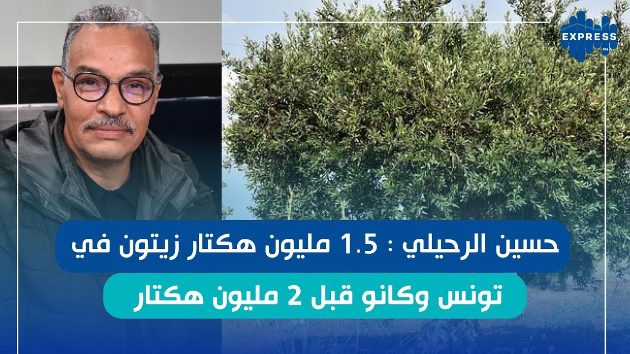 عملية تحيل تهدد سمعة زيت الزيتون التونسي
