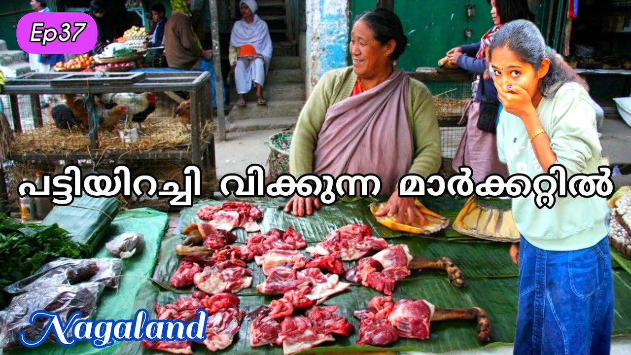 പട്ടിയിറച്ചി വിക്കുന്ന നാഗാലാൻഡിലെ മാർക്കറ്റ് || Ep 37|| van life in india || anybody can do 