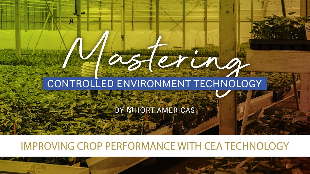 Mastering Crop Performance with CEA Tech | Controlled Environment Agriculture Technology