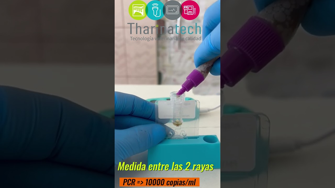 PCR ERLIQUIA ANAPLASMA BABESIA