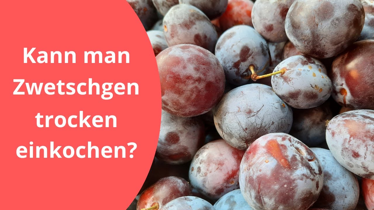 Kann man Zwetschgen trocken einkochen???