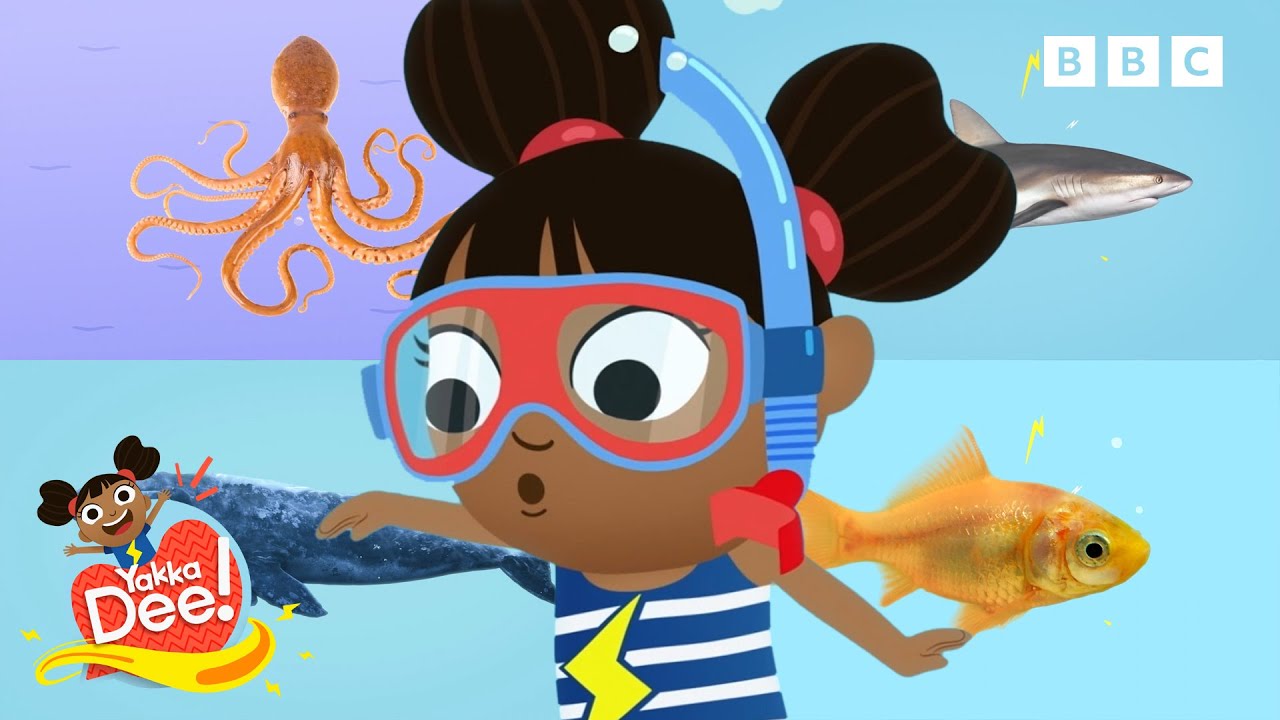 Fishy Friends 🐠 | Yakka Dee!