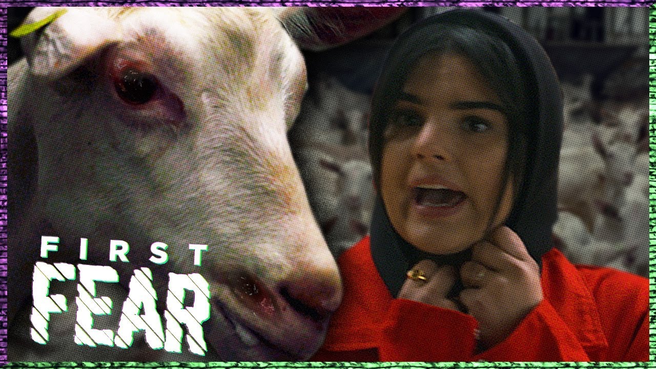 FAMKE LOUISE AANGEVALLEN door 200 GEITEN | FIRST FEAR