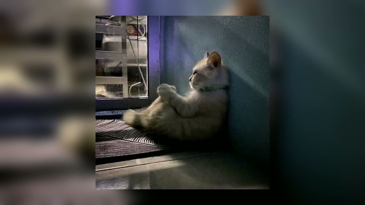 akon - lonely (sped up)