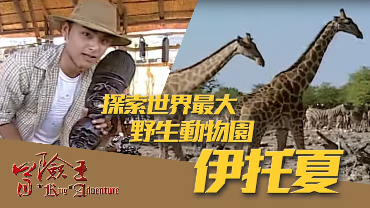 【冒險王】【非洲】探索世界最大野生動物園   伊托夏 EP27