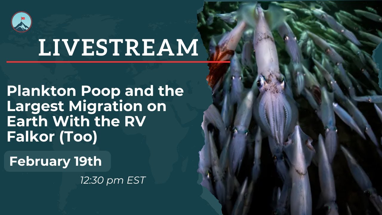 Plankton Poop and the Largest Migration on Earth With the RV Falkor (Too)